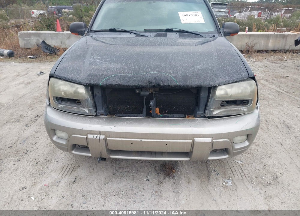 2002 CHEVROLET TRAILBLAZER LTZ VIN: 1GNDS13S022408138