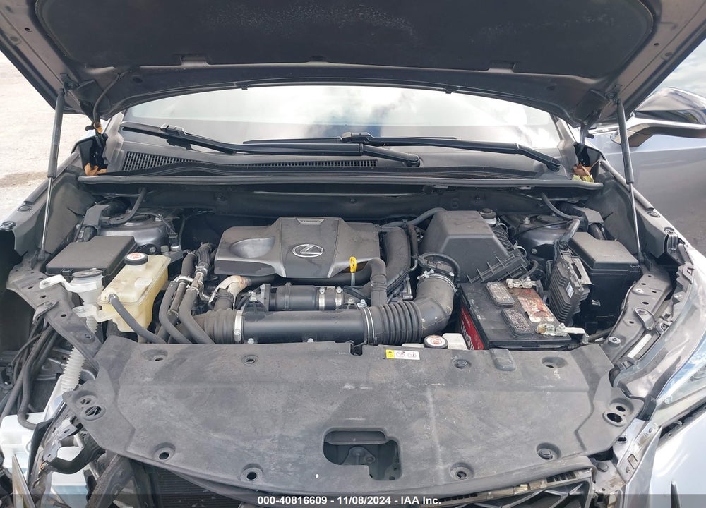 2019 LEXUS NX 300 F-SPORT VIN: JTJYARBZ9K2148961