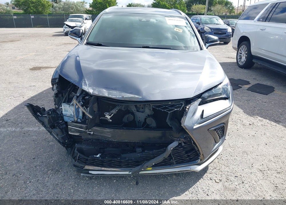 2019 LEXUS NX 300 F-SPORT VIN: JTJYARBZ9K2148961