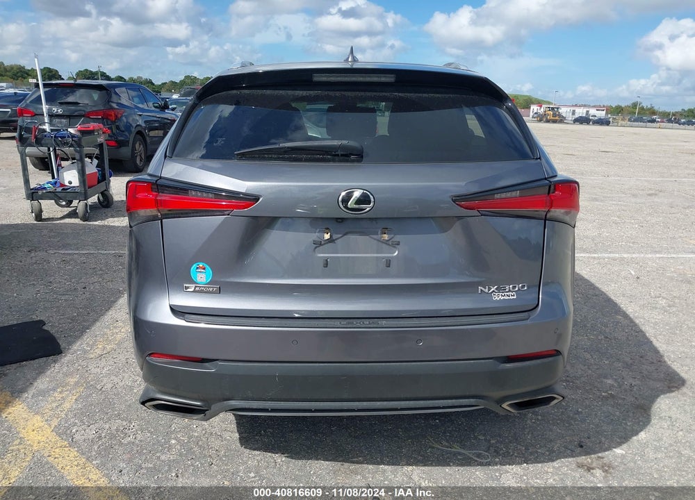 2019 LEXUS NX 300 F-SPORT VIN: JTJYARBZ9K2148961