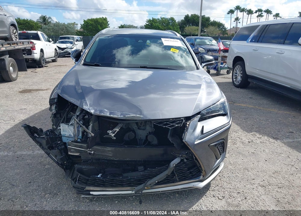 2019 LEXUS NX 300 F-SPORT VIN: JTJYARBZ9K2148961