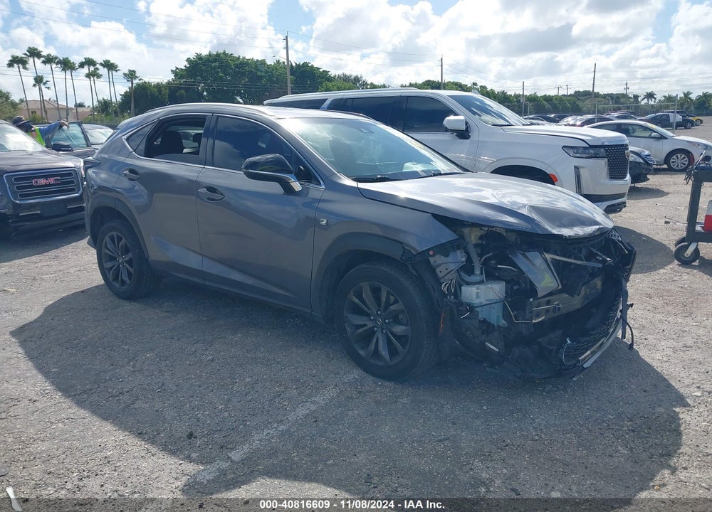 2019 LEXUS NX 300 F-SPORT VIN: JTJYARBZ9K2148961