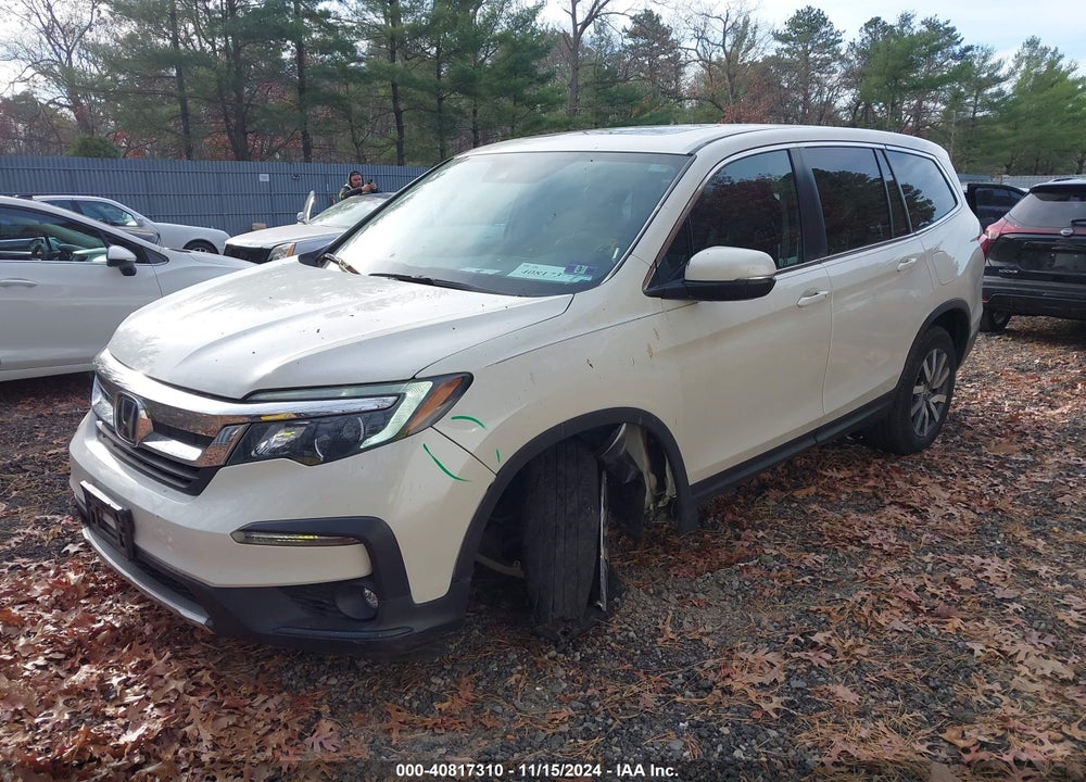 2019 HONDA PILOT EX-L VIN: 5FNYF6H54KB045774