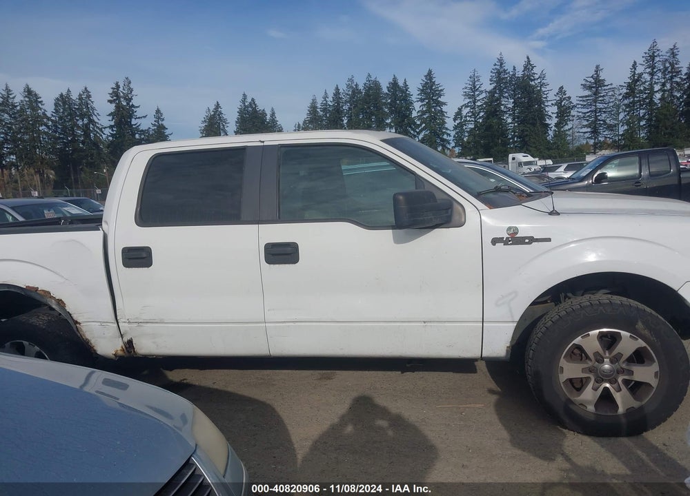 2009 FORD F-150 XLT VIN: 1FTPW14V69FB07590