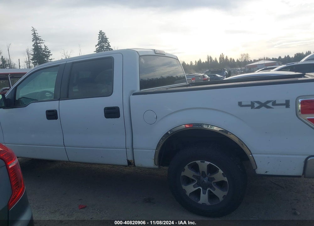 2009 FORD F-150 XLT VIN: 1FTPW14V69FB07590
