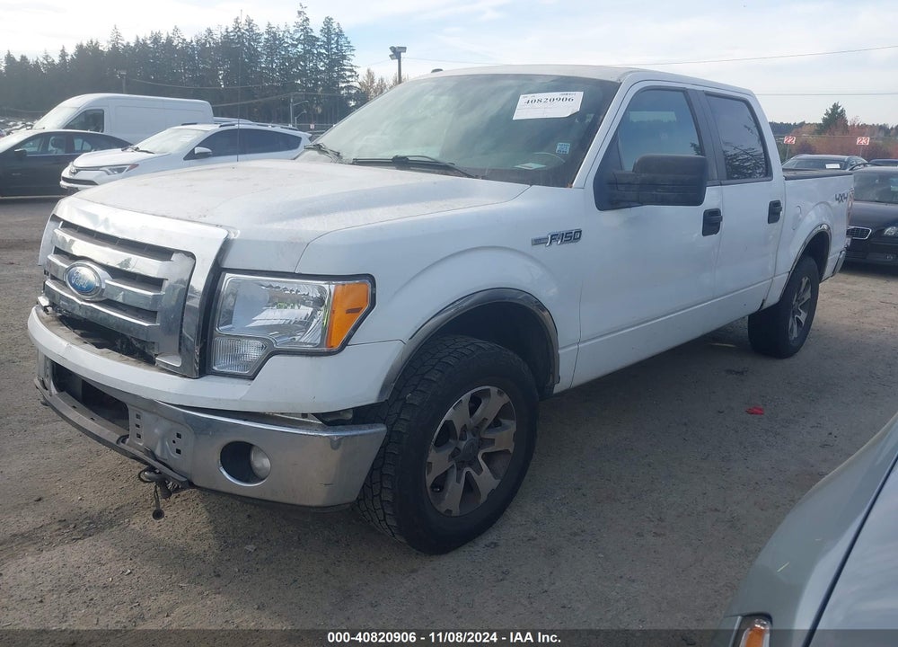 2009 FORD F-150 XLT VIN: 1FTPW14V69FB07590