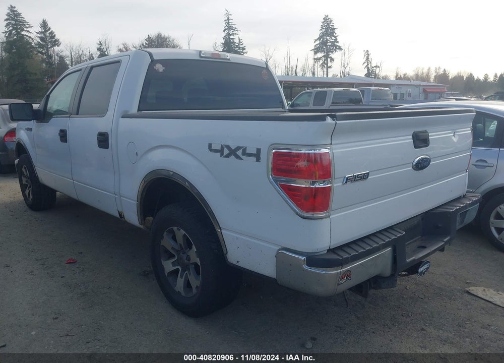 2009 FORD F-150 XLT VIN: 1FTPW14V69FB07590