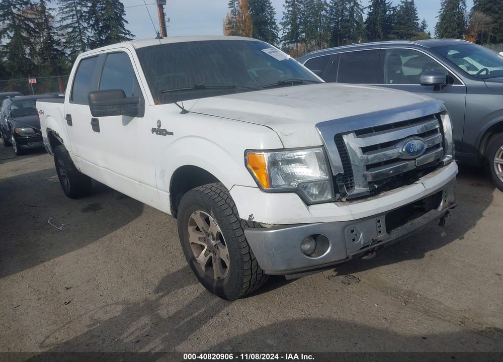 2009 FORD F-150 XLT VIN: 1FTPW14V69FB07590