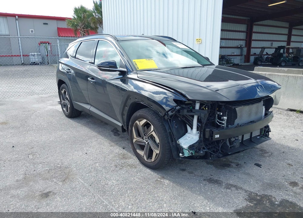 2024 HYUNDAI TUCSON LIMITED VIN: 5NMJE3DE9RH368316