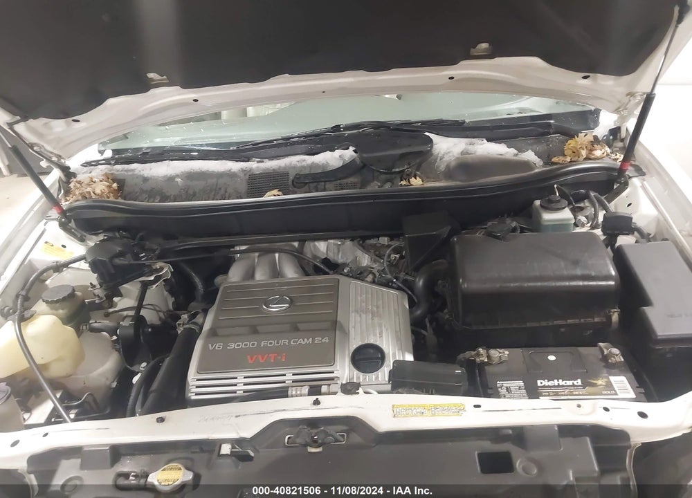 2000 LEXUS RX 300 VIN: JT6HF10U7Y0143931