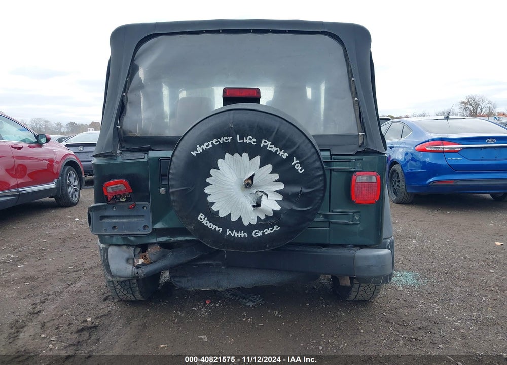 2004 JEEP WRANGLER SE VIN: 1J4FA291X4P730200