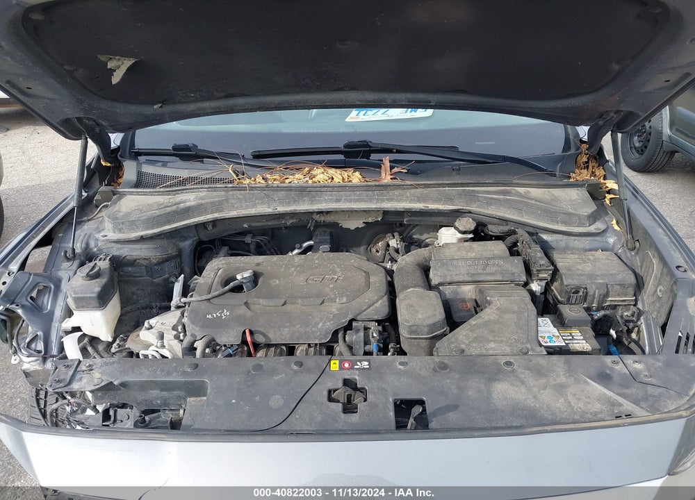 2019 HYUNDAI SANTA FE SEL PLUS VIN: 5NMS3CAD9KH029079