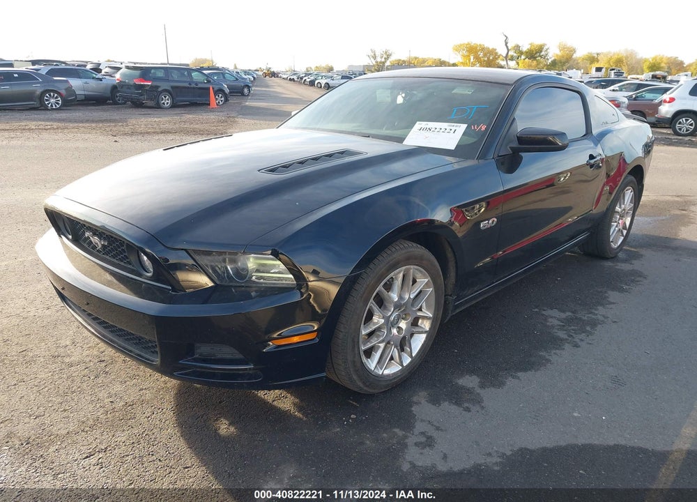 2013 FORD MUSTANG GT PREMIUM VIN: 1ZVBP8CFXD5226720