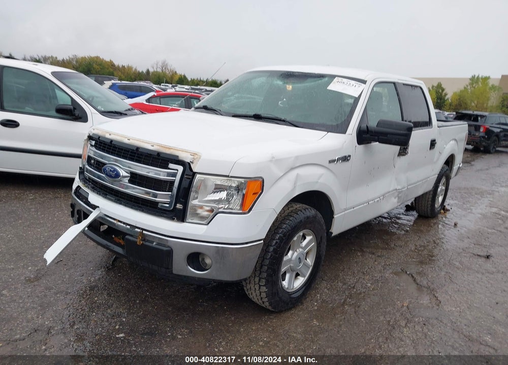 2013 FORD F150 VIN: 1FTEW1CM9DFA90373