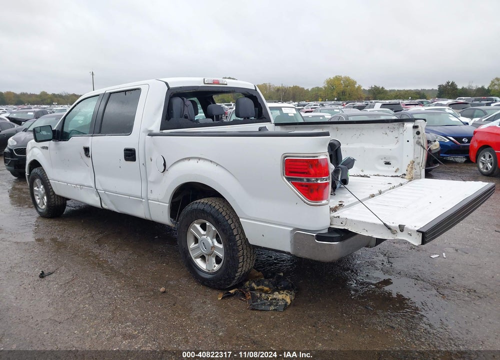 2013 FORD F150 VIN: 1FTEW1CM9DFA90373