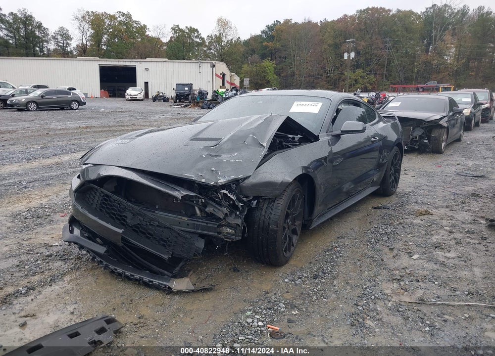 2019 FORD MUSTANG VIN: 1FA6P8TH7K5129127