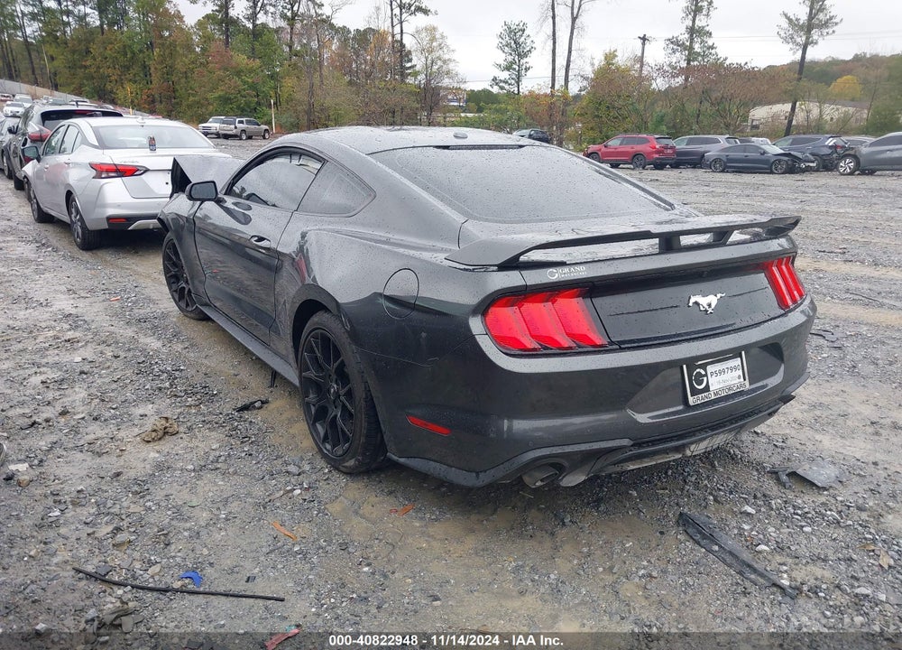 2019 FORD MUSTANG VIN: 1FA6P8TH7K5129127