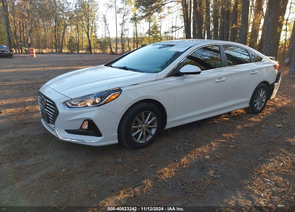 2019 HYUNDAI SONATA VIN: 5NPE24AF1KH761930