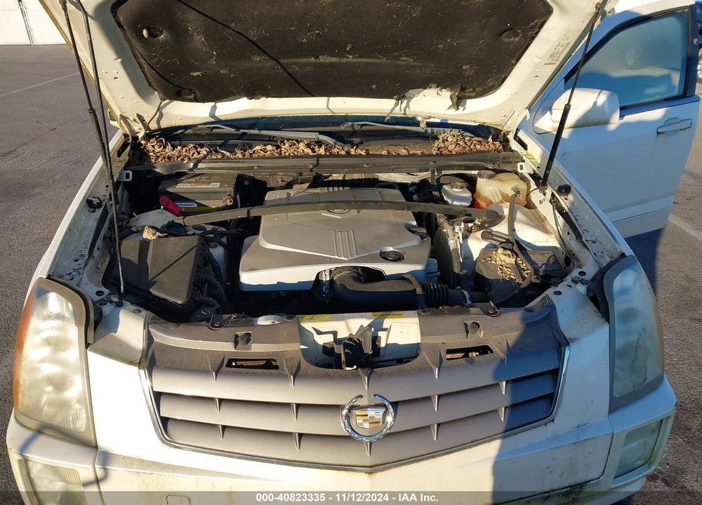 2004 CADILLAC SRX STANDARD VIN: 1GYEE637340168251