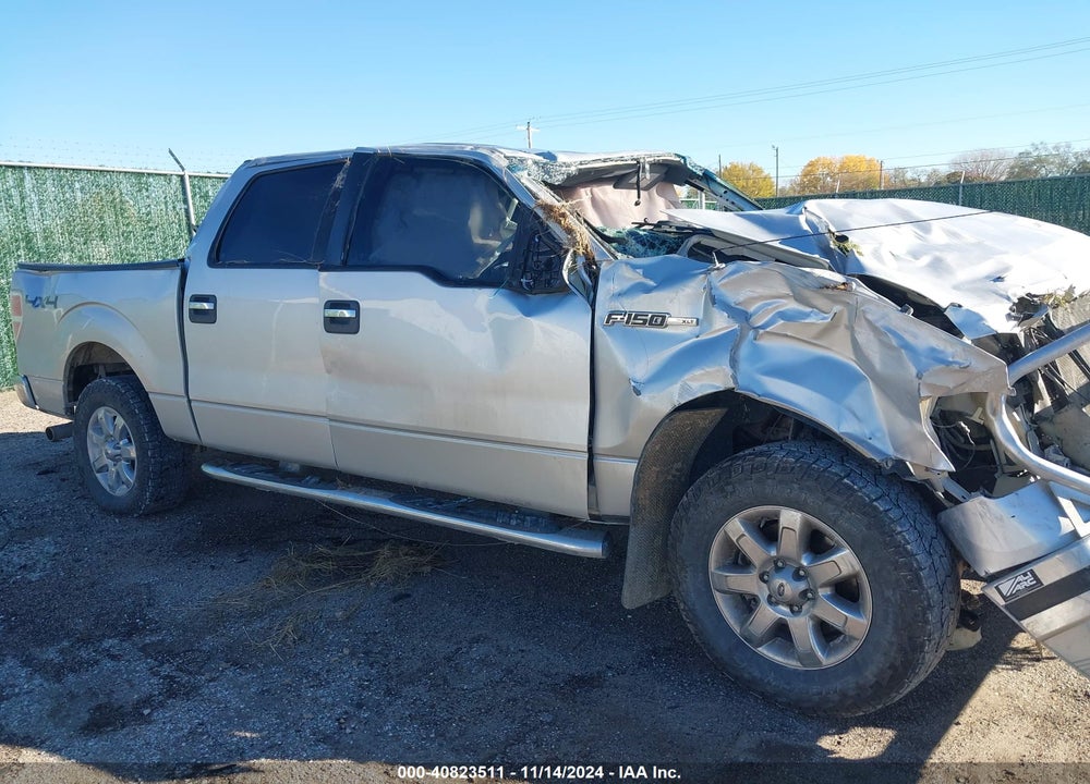 2013 FORD F-150 XLT VIN: 1FTFW1EF0DKF36744