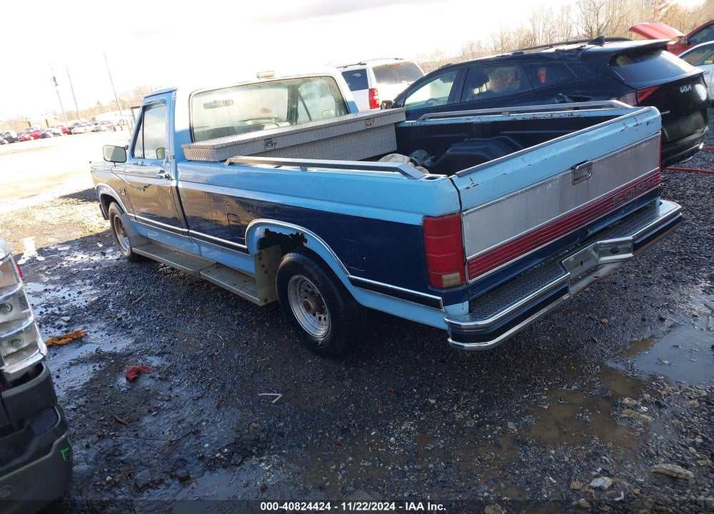 1986 FORD F150 VIN: 1FTDF15YXGNB25282