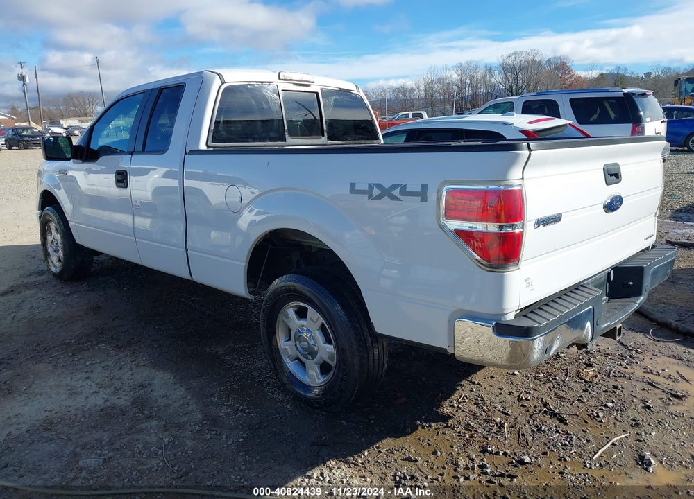 2013 FORD F-150 XLT VIN: 1FTFX1EF6DFB38279