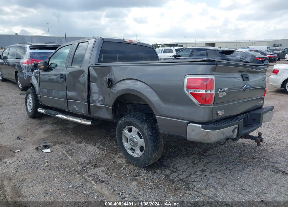2014 FORD F-150 XLT VIN: 1FTFX1CF0EFA48677