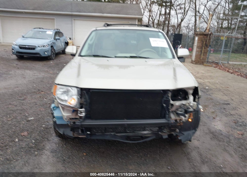 2010 FORD ESCAPE LIMITED VIN: 1FMCU9EG8AKD25492