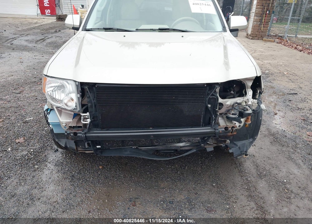 2010 FORD ESCAPE LIMITED VIN: 1FMCU9EG8AKD25492