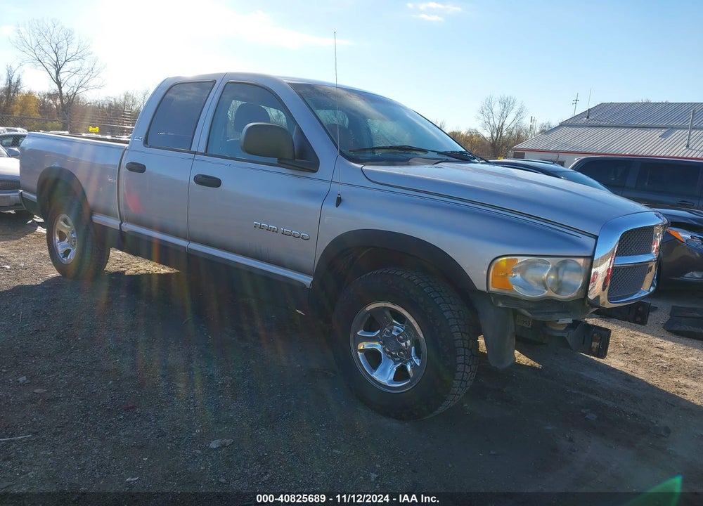 2002 DODGE RAM 1500 ST VIN: 1D7HA18N02S593006