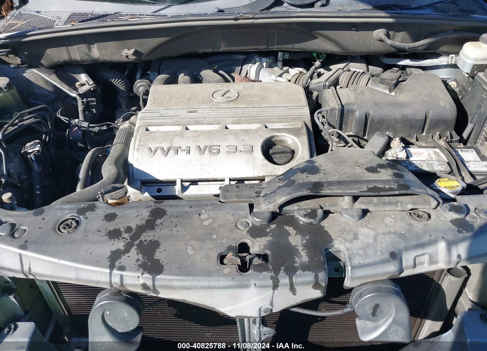 2004 LEXUS RX 330 BASE (A5) VIN: JTJGA31U240006030