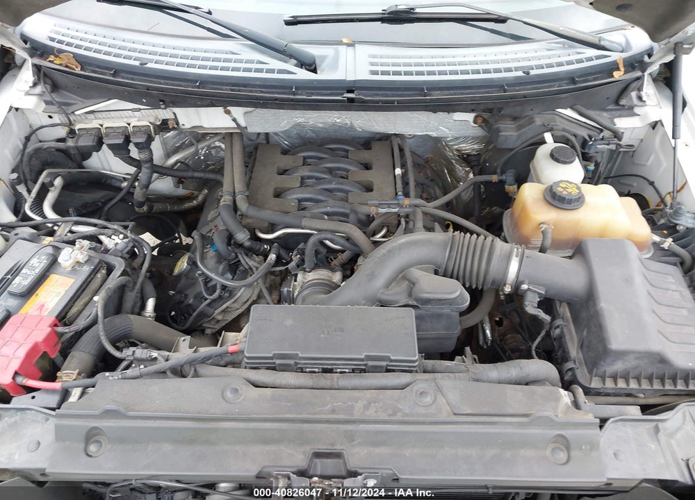 2011 FORD F-150 XLT VIN: 1FTFX1EF7BFA29004