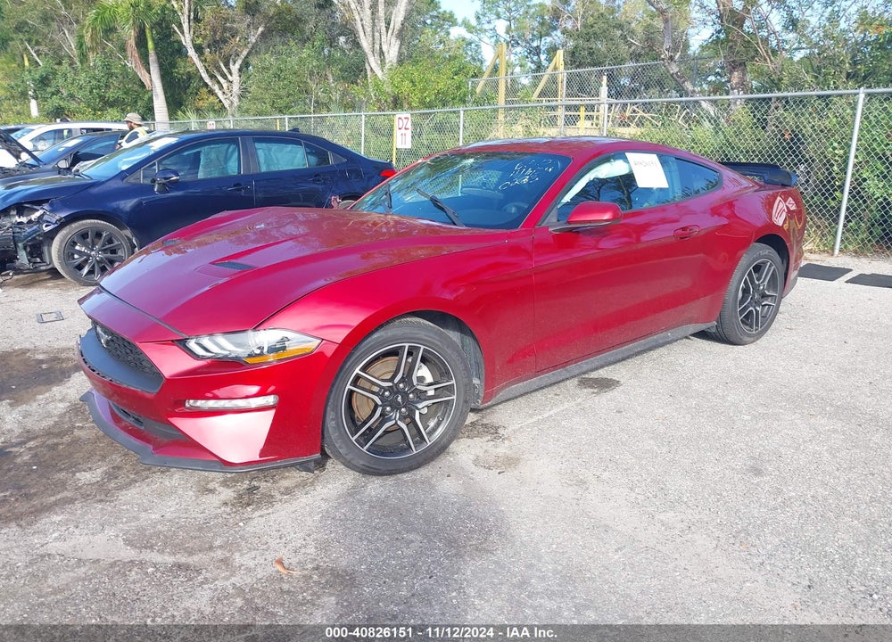 2019 FORD MUSTANG ECOBOOST VIN: 1FA6P8TH4K5200283
