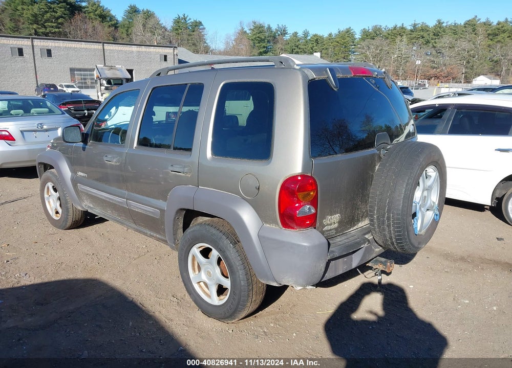 2004 JEEP LIBERTY SPORT VIN: 1J4GL48K64W142420