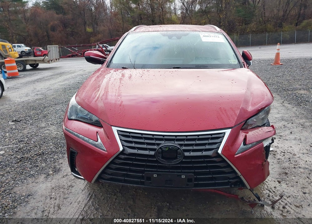 2021 LEXUS NX300 VIN: JTJDARBZ6M5030821