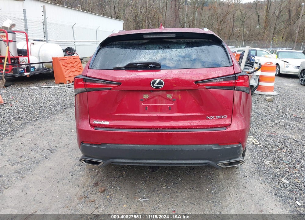2021 LEXUS NX300 VIN: JTJDARBZ6M5030821