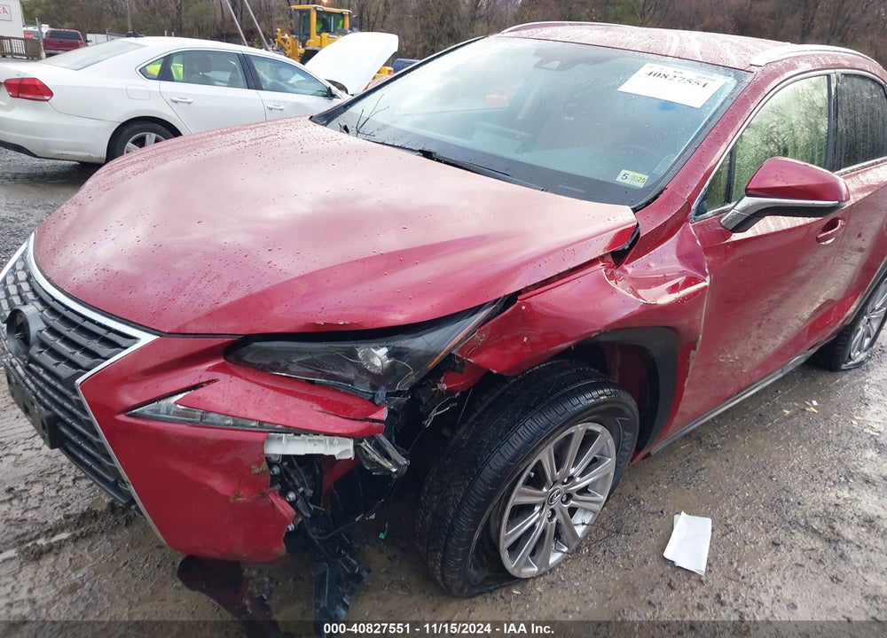 2021 LEXUS NX300 VIN: JTJDARBZ6M5030821