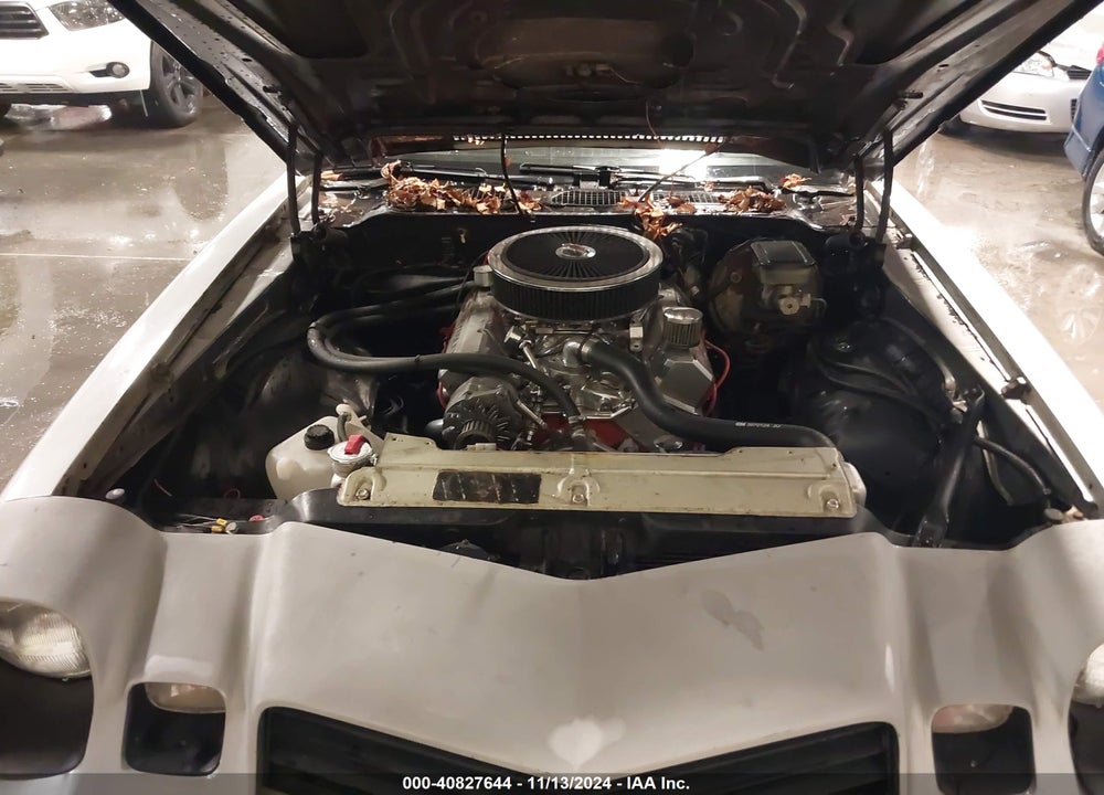 1981 CHEVROLET CAMARO VIN: 1G1AP87H3BL146784