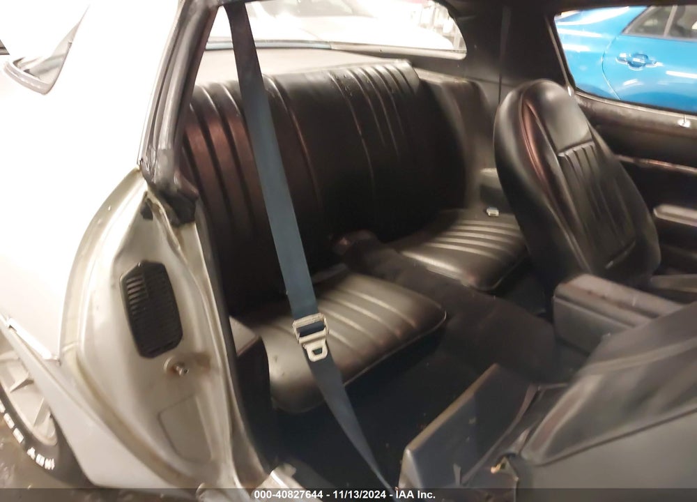 1981 CHEVROLET CAMARO VIN: 1G1AP87H3BL146784