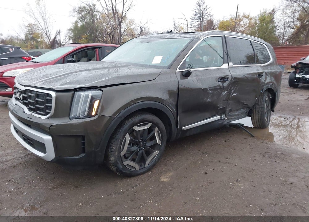 2024 KIA TELLURIDE VIN: 5XYP6DGC3RG556864