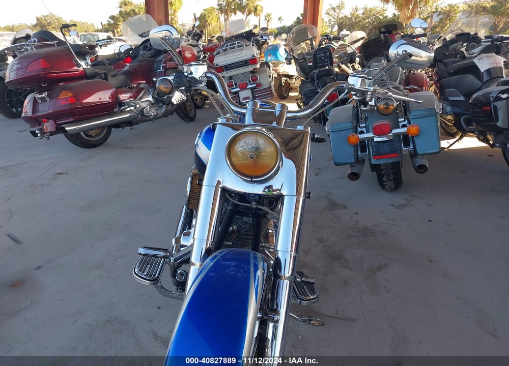 2010 HARLEY-DAVIDSON FLSTSE VIN: 1HD1PY916AB958316