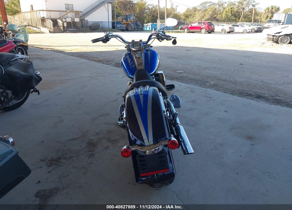 2010 HARLEY-DAVIDSON FLSTSE VIN: 1HD1PY916AB958316