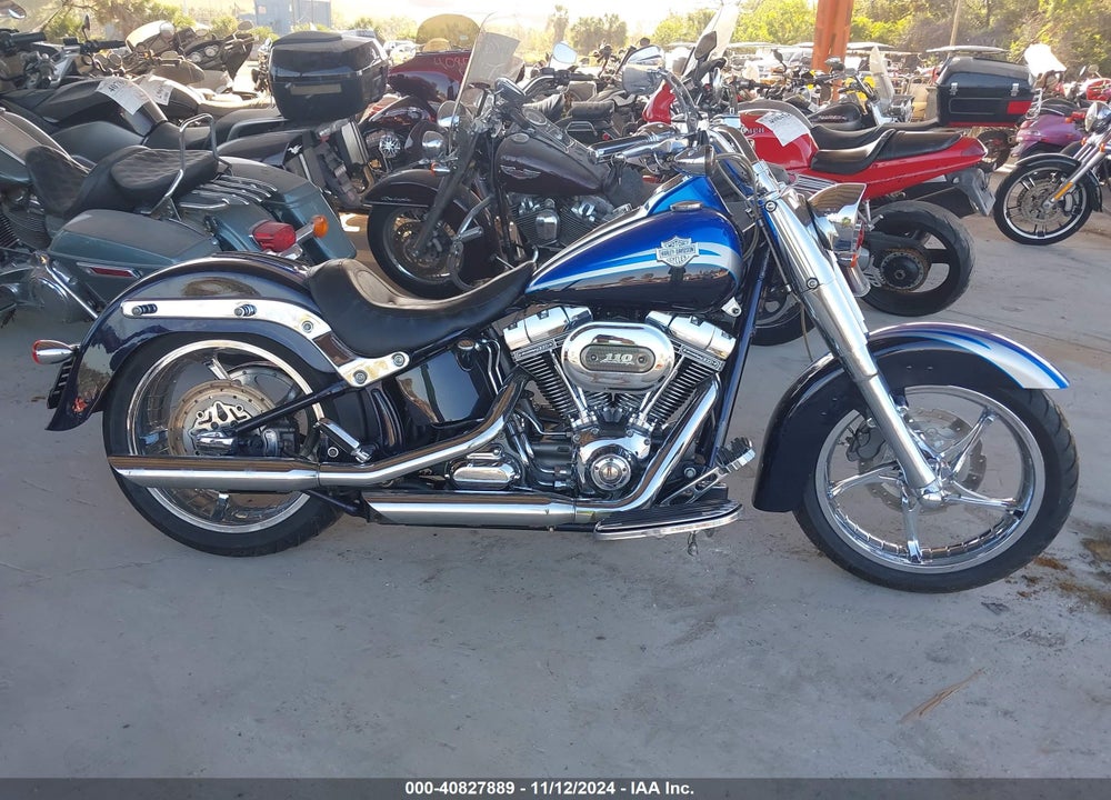 2010 HARLEY-DAVIDSON FLSTSE VIN: 1HD1PY916AB958316