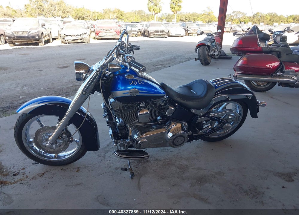 2010 HARLEY-DAVIDSON FLSTSE VIN: 1HD1PY916AB958316