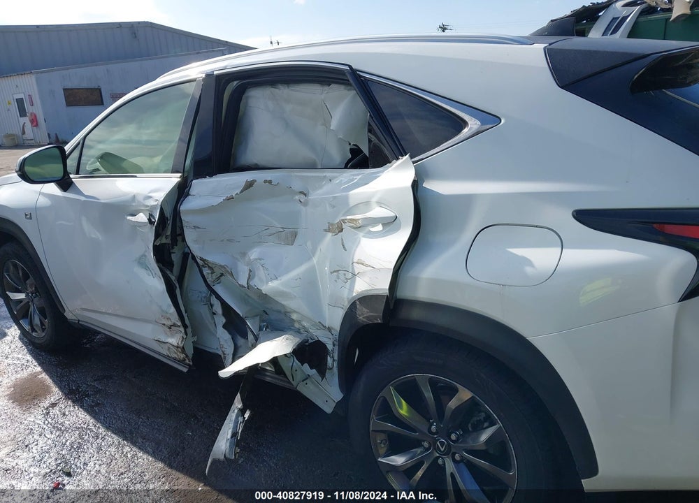 2020 LEXUS NX 300 F-SPORT VIN: JTJJARBZ1L5016133