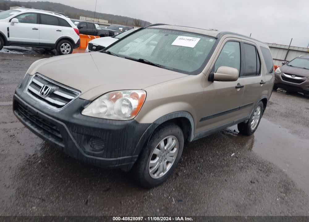 2006 HONDA CR-V EX VIN: JHLRD68876C017560