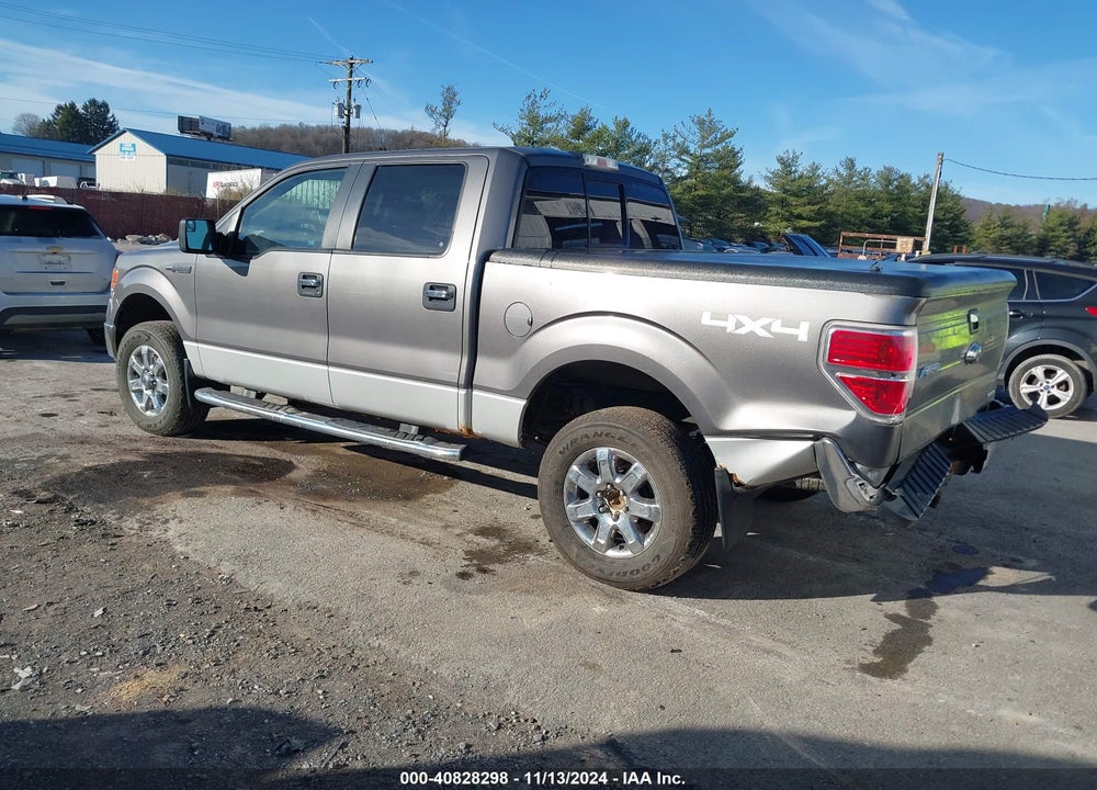 2014 FORD F-150 XLT VIN: 1FTFW1EF1EFA91764