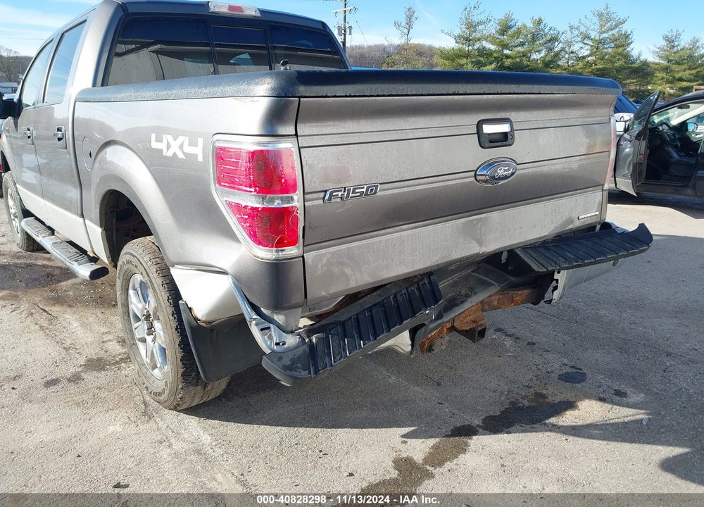 2014 FORD F-150 XLT VIN: 1FTFW1EF1EFA91764
