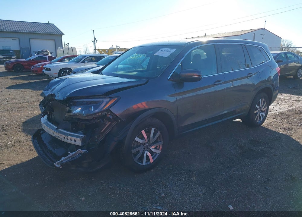 2019 HONDA PILOT EX-L VIN: 5FNYF6H56KB021136