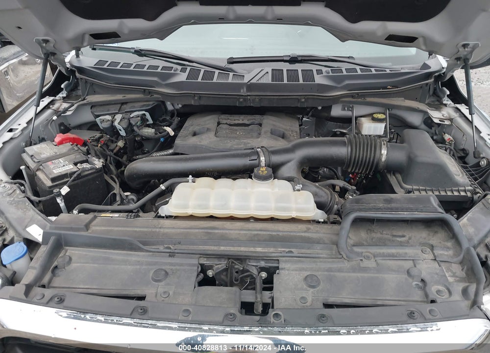 2021 FORD F-150 XLT VIN: 1FTFW1E88MKE32696